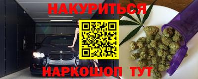 крисы Пенза