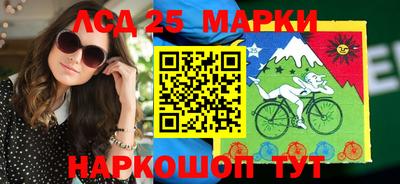 крисы Пенза