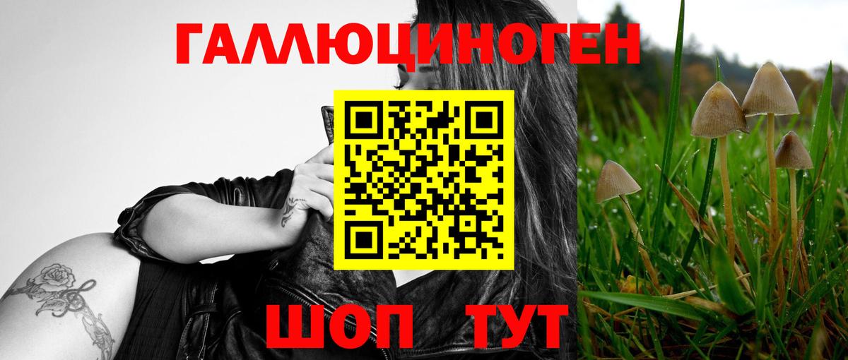 Нягань  Псилоцибиновые грибы Psilocybine cubensis  Вход с VPN 